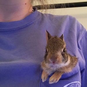 Meet your Posher, Abbie